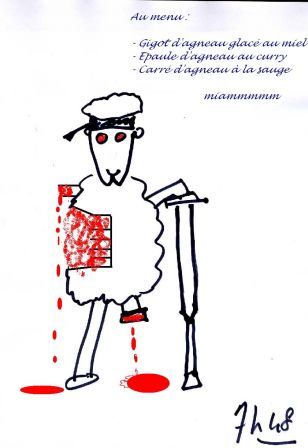 mouton2006_7h48.JPG